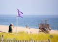 Shark sightings on Cape Cod
