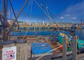 Provincetown harbor. FREE Cape Cod News