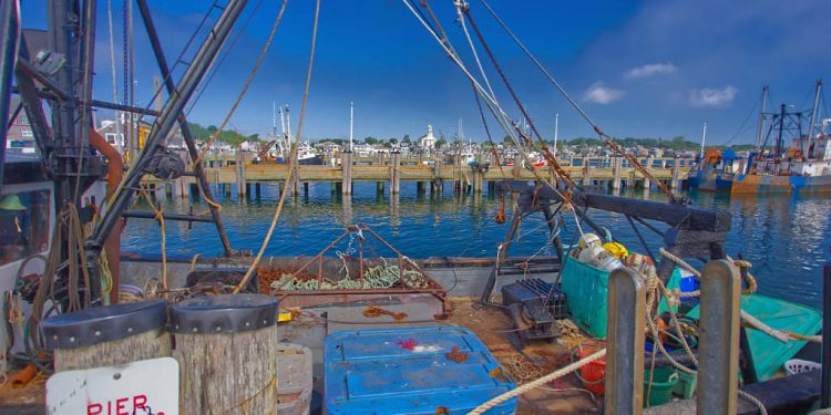 Provincetown harbor. FREE Cape Cod News