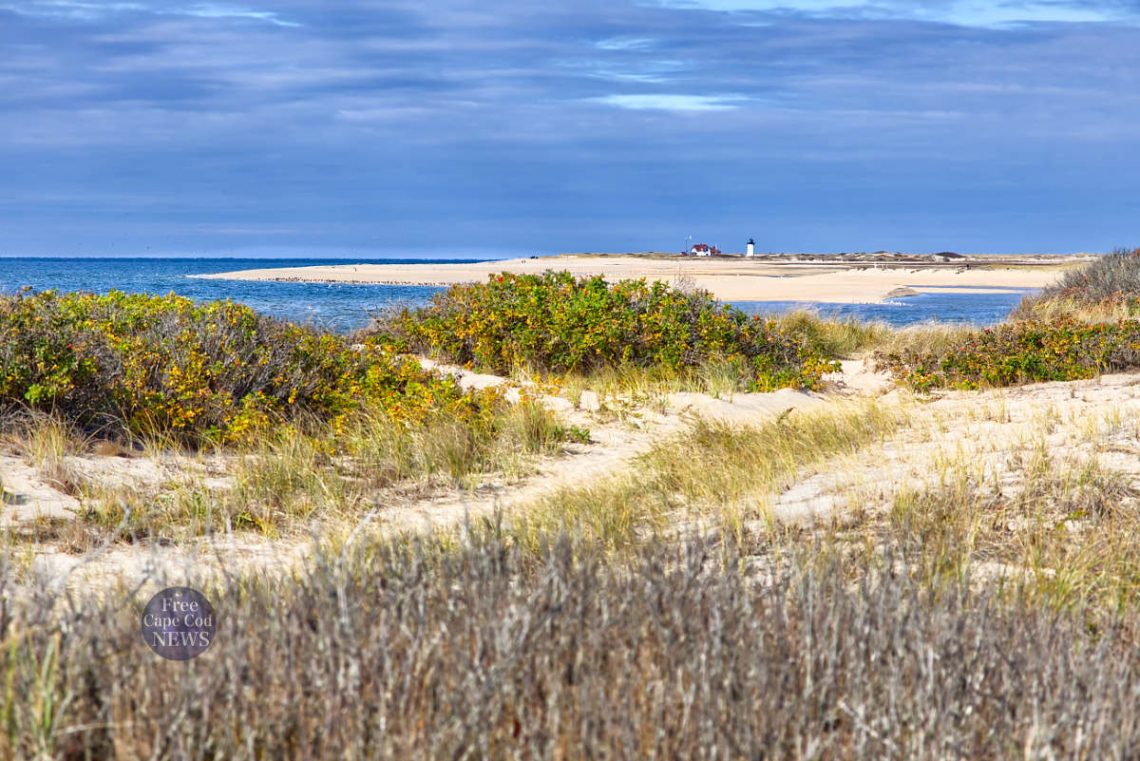 Top 10 Cape Cod Beaches ( with PHOTOS ) FREE Cape Cod News