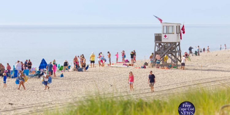 Nauset beach shark sighting Cape Cod News