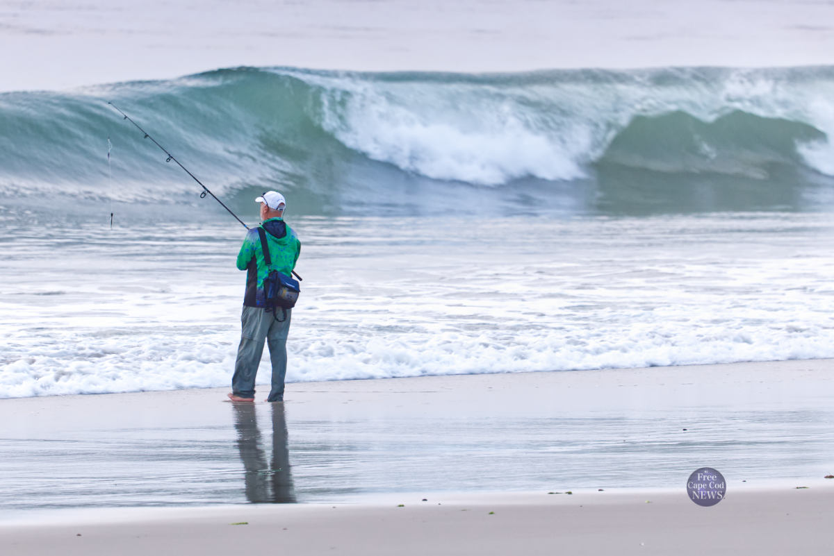 Fishing at Nauset beach. FREE Cape Cod News.