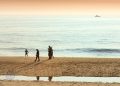 Best fishing spots in Cape Cod. Free Cape Cod News.